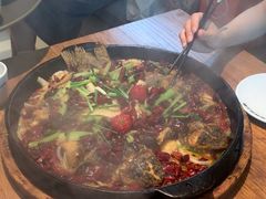 -老板恋上鱼(恒隆广场店)