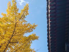 -大钟寺古钟博物馆