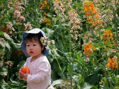 -中国天府农业博览园