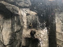 -南昌动物园
