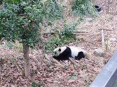 -黔灵山公园