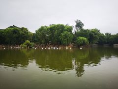 -石家庄市动物园