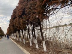 -苏州太湖国家湿地公园