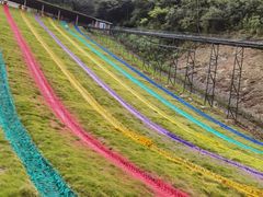 -梦幻奥陶纪景区