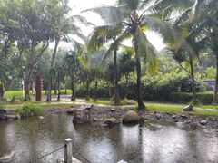 -深圳国际园林花卉博览园