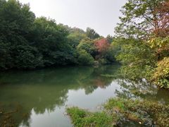 -白马涧龙池景区