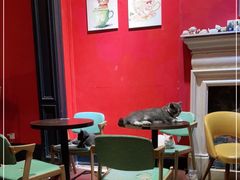 用餐区-猫色咖啡·猫咖