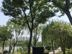 -桐乡植物园