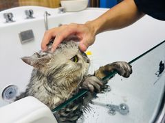 -FAELING PETS美天灵宠物(富力广场店)