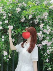 -DL HOPE明星造型