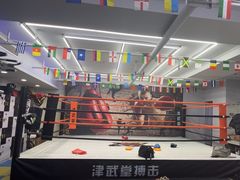 -津武堂散打搏击俱乐部(河西店)