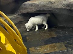 -梦幻海洋王国(吾悦广场张家港店)