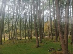 -硗碛藏寨·神木垒景区