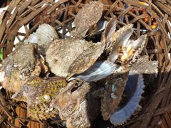 -蚝堡海鲜·威海菜·海肠捞饭·烧烤·亚洲吃蚝公司(幸福门店)