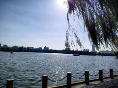 -济南大明湖景区