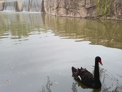 -北京市车辆管理所京海分所