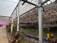 -呀路古热带植物园