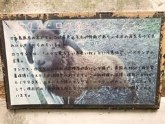 -神户市立六甲山牧场