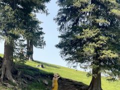 -新疆那拉提国家旅游度假区