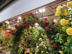 -双季花艺园艺市场(浦东店)