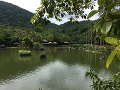 -呀诺达热带雨林