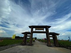 -中华茉莉园