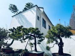 -龙华素斋(龙华路店)