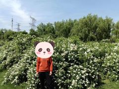 -九里河湿地公园