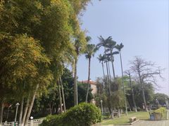 -龙舟池