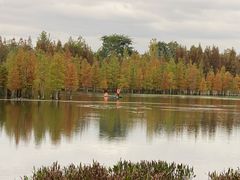 -白鹭湾湿地公园