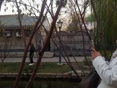 -春风习习