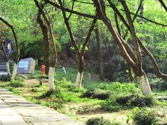 -岳麓山风景名胜区