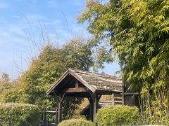 -崇阳三特浪口温泉