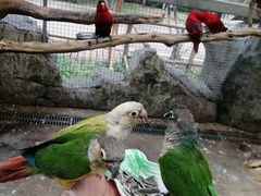 -昆明动物园