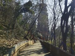 -宝通禅寺