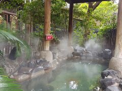 -张家港金凤凰度假村温泉