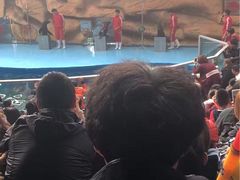 -泉州海丝野生动物世界