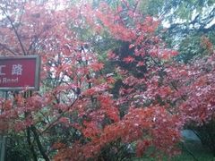 -陕西师范大学(雁塔校区)