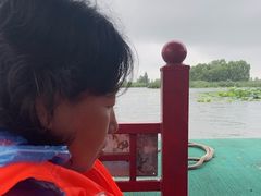 -白洋淀景区