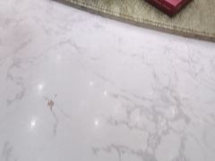 -丽景酒楼·佛山老字号(广佛智城店)