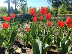 -长春公园(普阳街道)