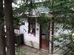 -上海都市菜园