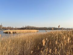 -野鸭湖国家湿地公园