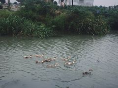 -乡乐园蟹庄·阳澄湖农家乐