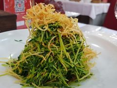 巧拌豆苗-四季民福烤鸭店(王府井灯市口店)