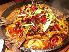 -老板恋上鱼(高新万达店)