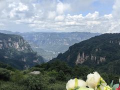 -王莽岭风景区