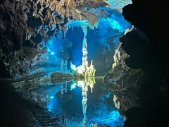 -地心探险极地