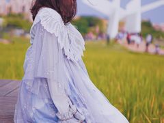 -艾米稻香小镇