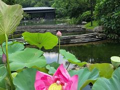 -云溪植物园